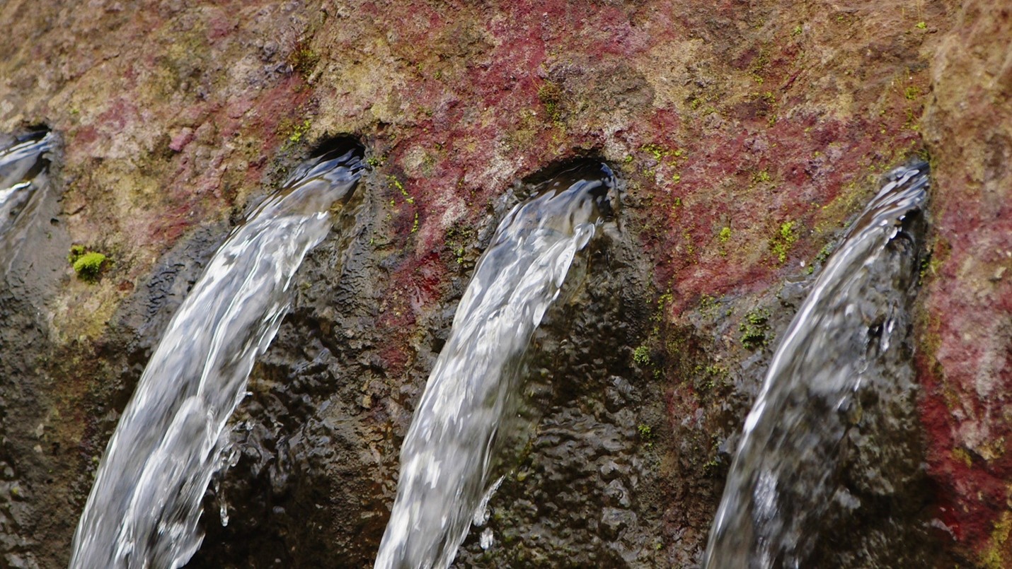 Mexico Environmental Impact